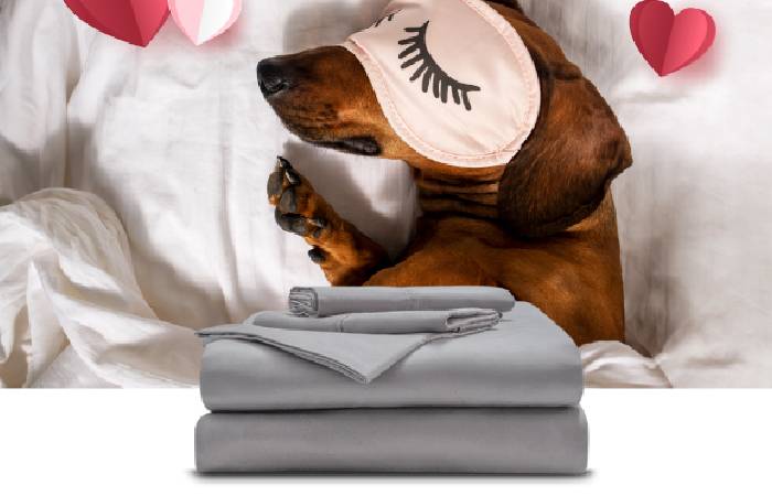 Fire Safety Services